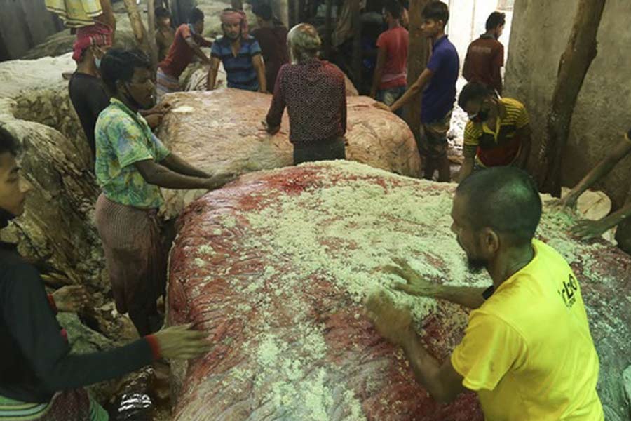 Rawhide merchants happy as tanners pay expected prices