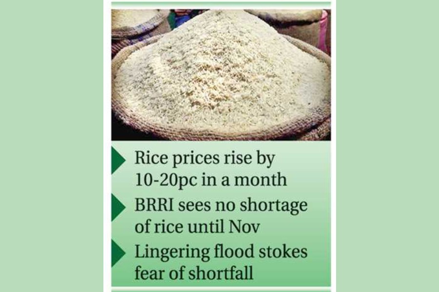 Shortfall fear makes rice market volatile