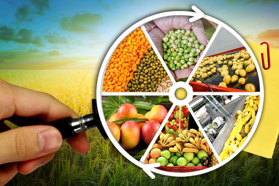 Agro-food units in EPZs losing competitiveness