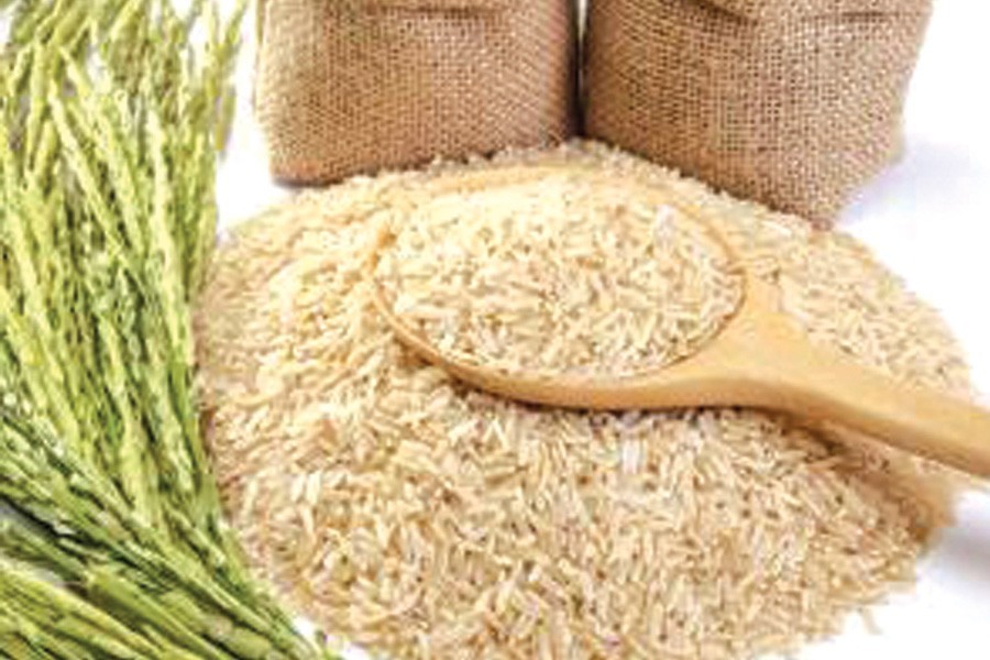 Cold-tolerant HYV rice for haor underway