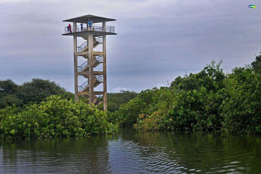 Govt closes Ratargul ‘risky’ watchtower to tourists
