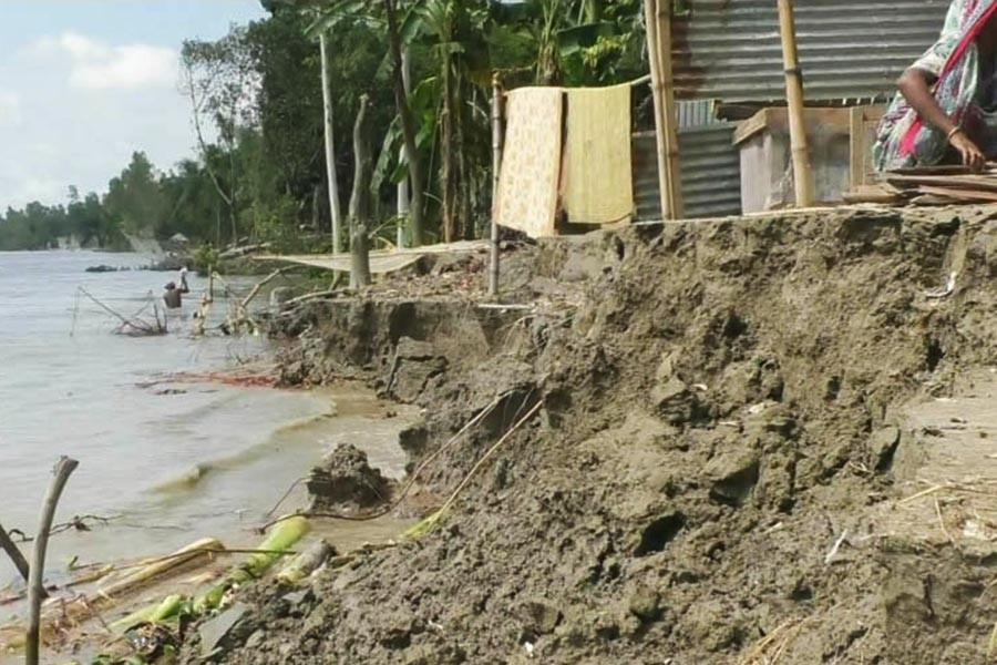 Jamuna devours crops land, houses in Tangail
