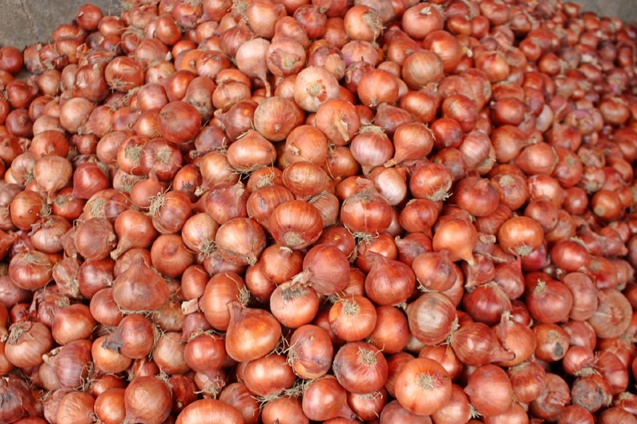 Bangladesh eyes 3.0m tonnes of onion this year