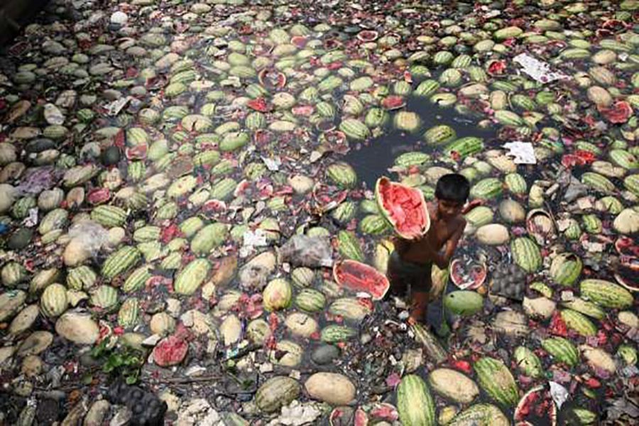 Lack of tech, infrastructure main causes of food loss, say experts