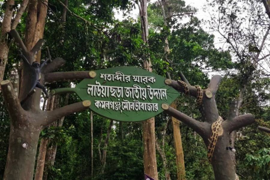 Lawachhara park, other Sylhet spots reopen for tourists