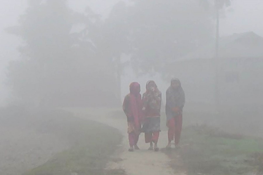 Cold wave continues to grip Bangladesh