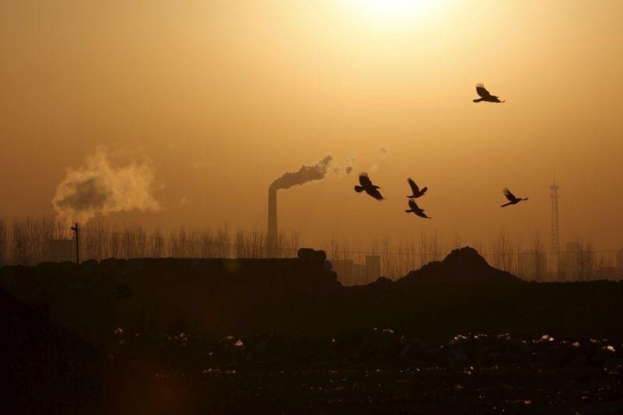 Birds fly over a closed steel factory where chimneys of another working factory are seen in background, in Tangshan, Hebei province, China on February 27, 2016 — Reuters/Files