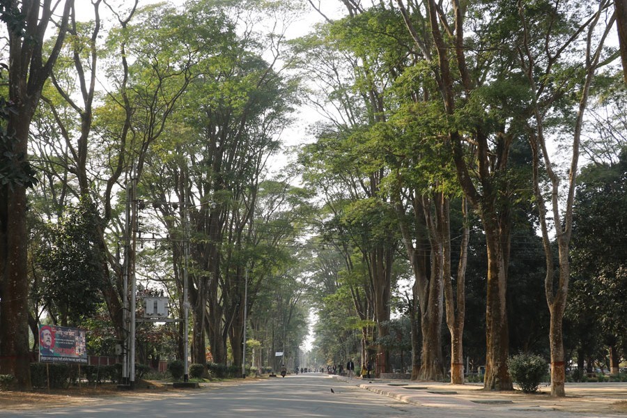 The authority of the Rajshahi University has recently taken a massive greening drive on the varsity campus — FE photo