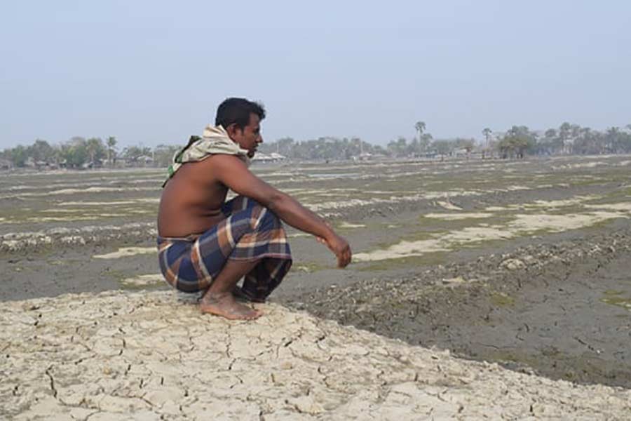 A shrimp farmer of Khulna region -Photo: The Guardian