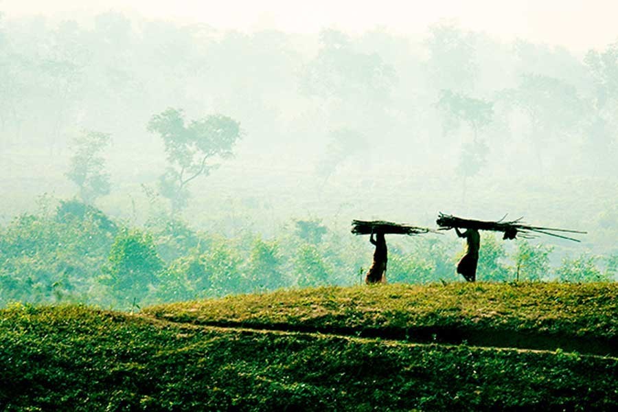 Winners of National Environment Medal 2020 announced