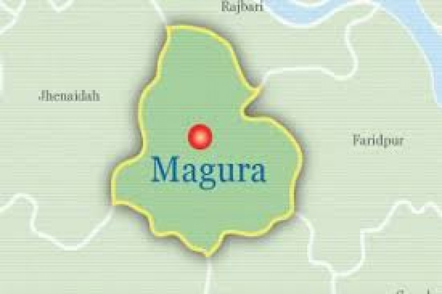 Miscreants vandalise Shaheed Minar in Magura