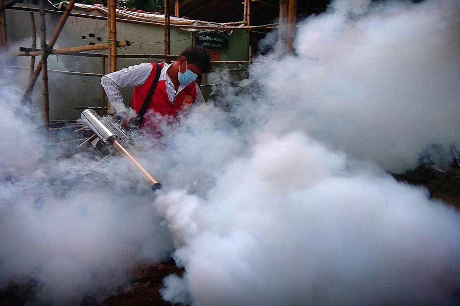Mosquito sting thrives in Dhaka, city corporations redraw battle plan