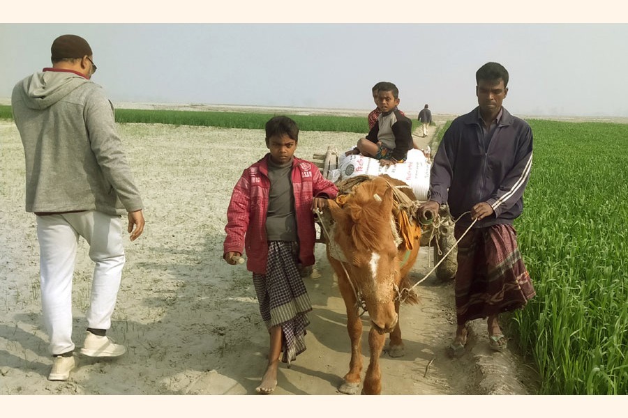 Goods being transported by horse-drawn carriage under Saghata upazila in Gaibandha district — FE Photo