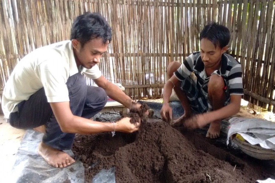 Experts urge use of compost in maintaining soil quality