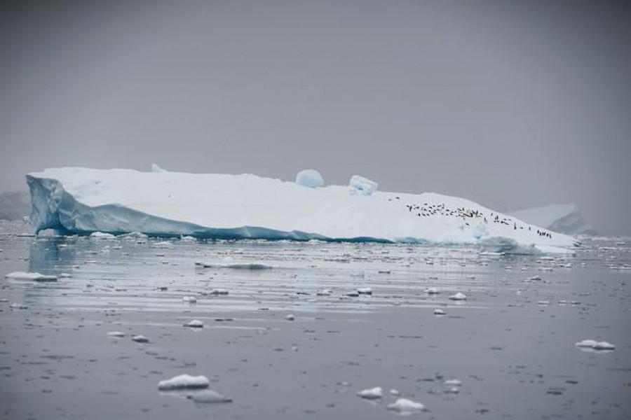 An iceberg floats in Andvord Bay, Antarctica on February 14, 2018 — Reuters/Files