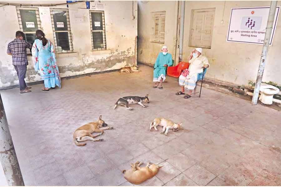 1,447 new coronavirus cases, 43 deaths recorded in 24 hours