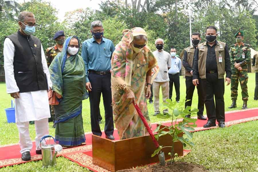 PM urges countrymen to make Bangladesh greener to fight climate change
