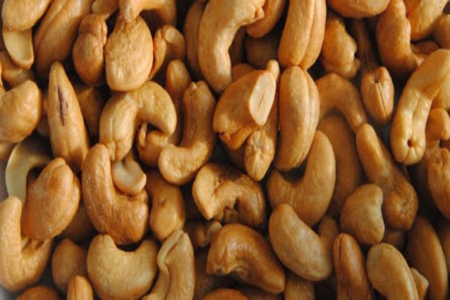 Tk 2.11b project to expand cashew nut cultivation