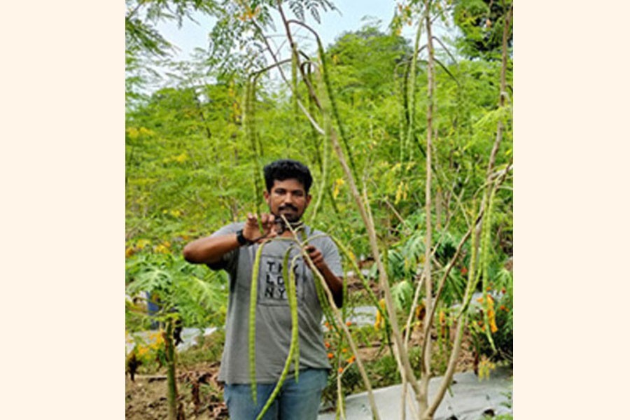 Young entrepreneur Khandaker Khalid Bin Morshed tending drumsticks at his garden in Tepakhola Moholla of Faridpur town — FE Photo