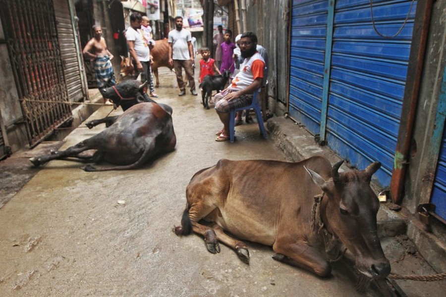 ফাইল ছবি