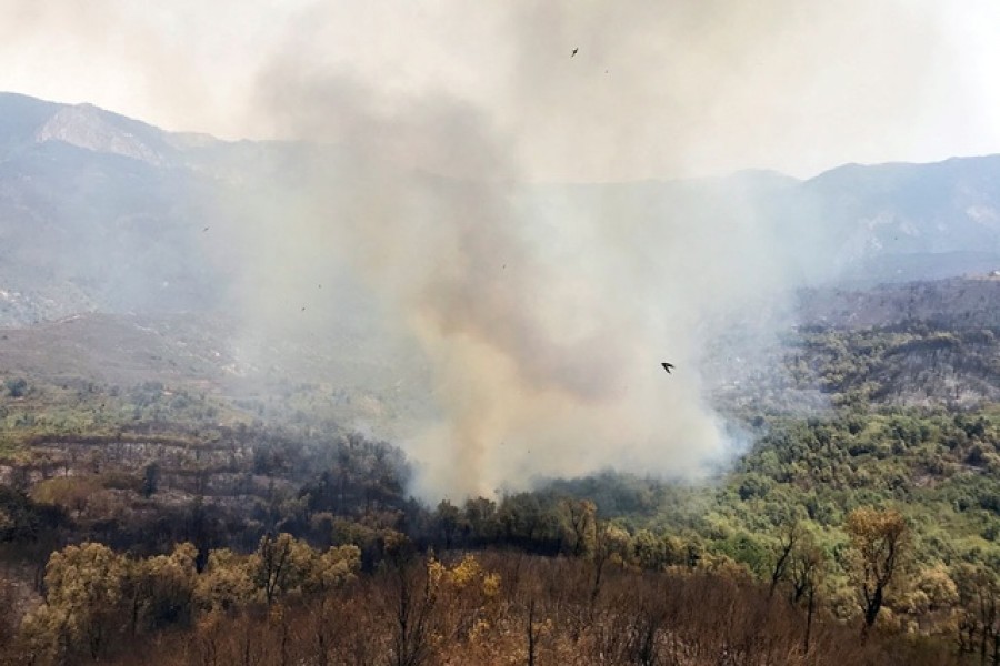 Smoke rises following a wildfire in Zekri, in the mountainous Kabylie region of Tizi Ouzou, east of Algiers, Algeria August 11, 2021 — Reuters