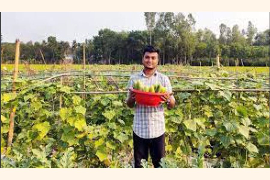 Sultan Ahmed posing at his land in Chaugachha upazila of Jashore district — FE Photo