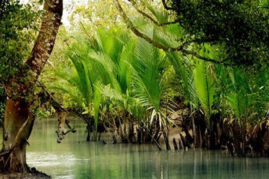 Sundarbans conservation project works yet to begin seven months after approval