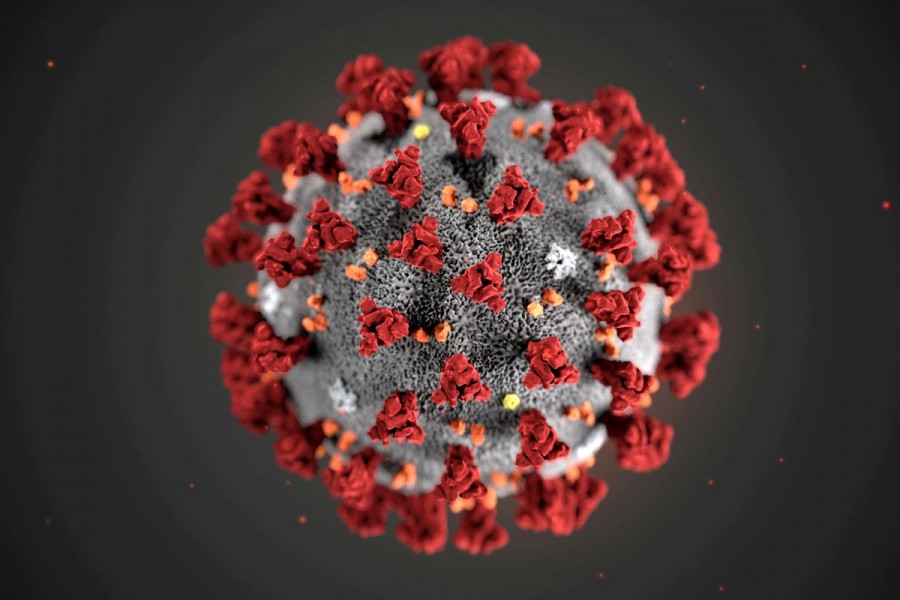 The ultrastructural morphology exhibited by the 2019 Novel Coronavirus (2019-nCoV), which was identified as the cause of an outbreak of respiratory illness first detected in Wuhan, China, is seen in an illustration released by the Centers for Disease Control and Prevention (CDC) in Atlanta, Georgia, US January 29, 2020 —Alissa Eckert, MS; Dan Higgins, MAM/CDC/Handout via Reuters