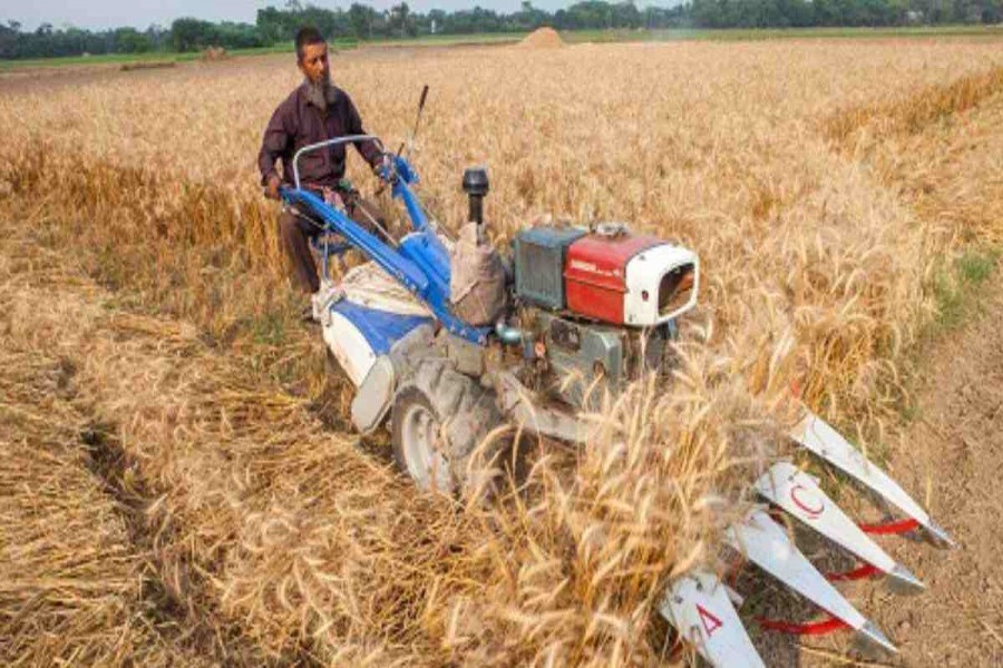 Commercialisation, tech progress crucial to attract youths towards farming: Experts