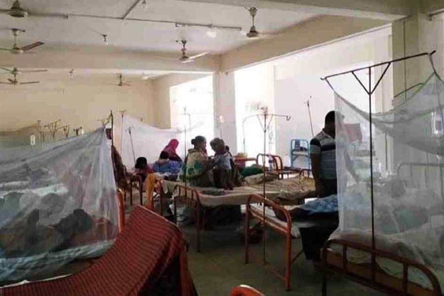 229 more hospitalised with dengue