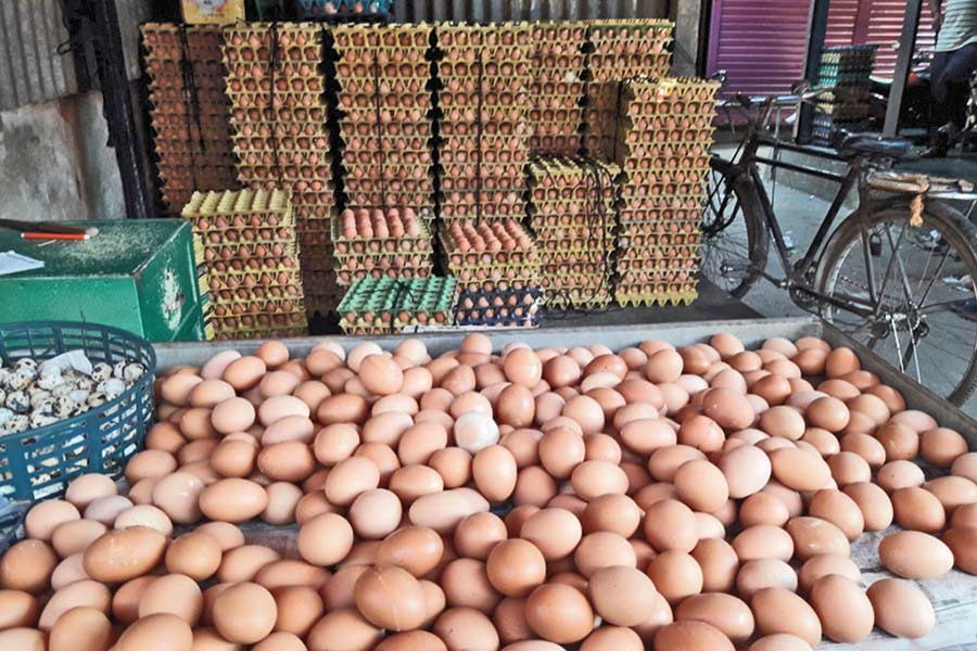 Government plans joint venture to keep egg prices tolerable