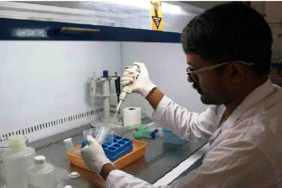 SAU teacher develops fish vaccine, first of its kind in Bangladesh