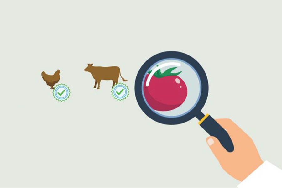 Adulterated food poses threat to public health