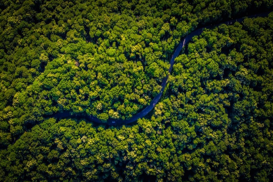 Amazon rain forest near tipping point?