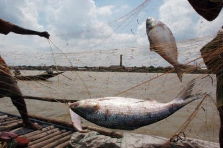 63.8m meters nets seized during ban period