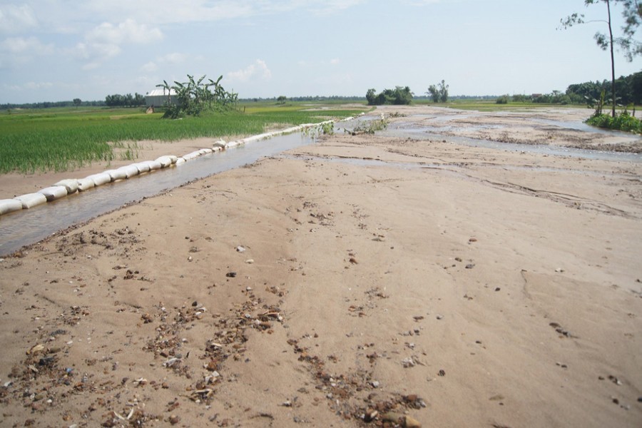 Photo shows an area of uncultivable paddy land in Tahirpur in Sunamganj — FE Photo