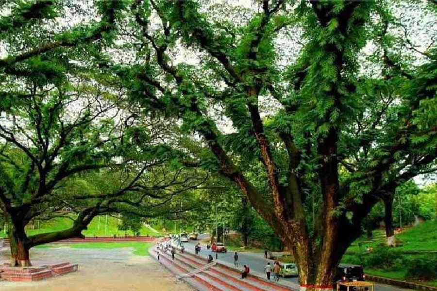 'Building hospital in CRB area hinges on Prime Minister's decision'