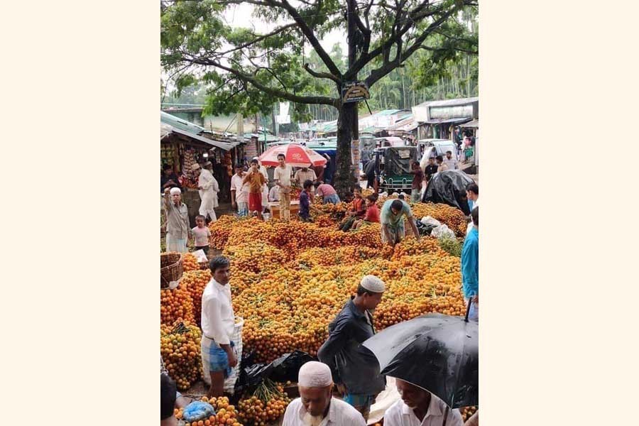 Betel-nut traders in Cox's Bazar busy making the nuts ready for supply to wholesalers from different districts — FE Photo