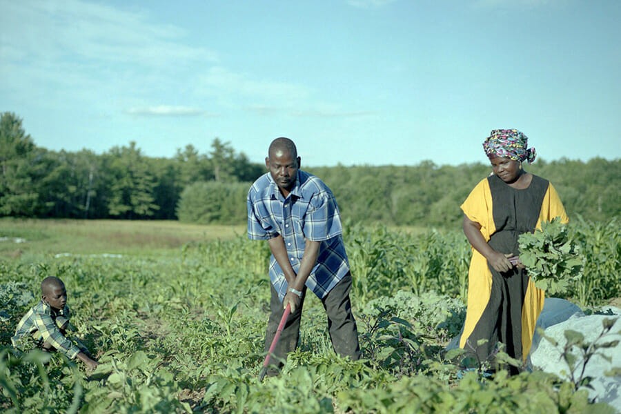 Bangladesh to start contract farming in Somalia