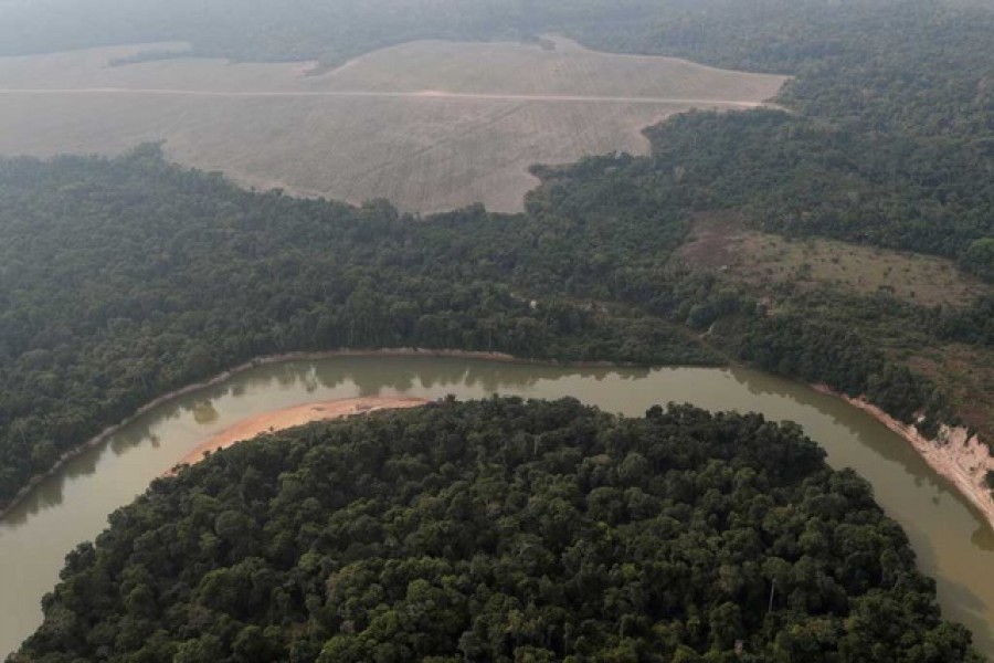 aerial view shows a river and a deforested plot of the Amazon near Porto Velho, Rondonia State, Brazil August 14, 2020. REUTERS