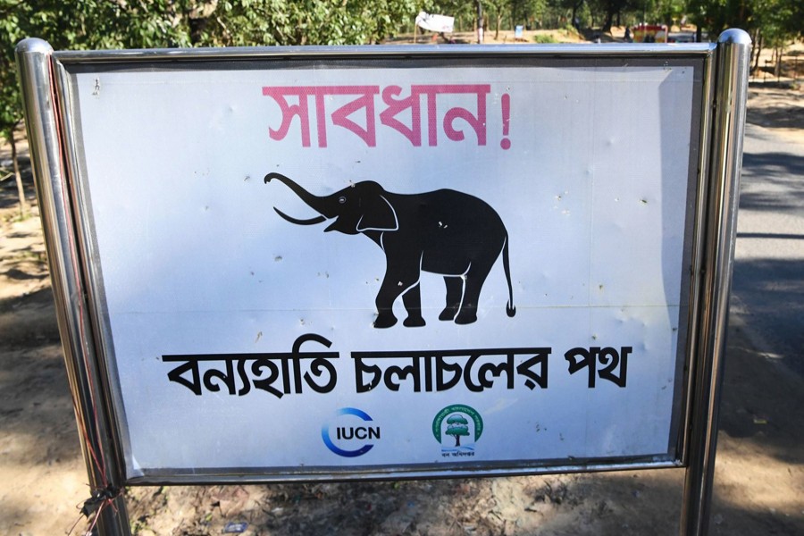 Eight-point demand placed to save wild animals