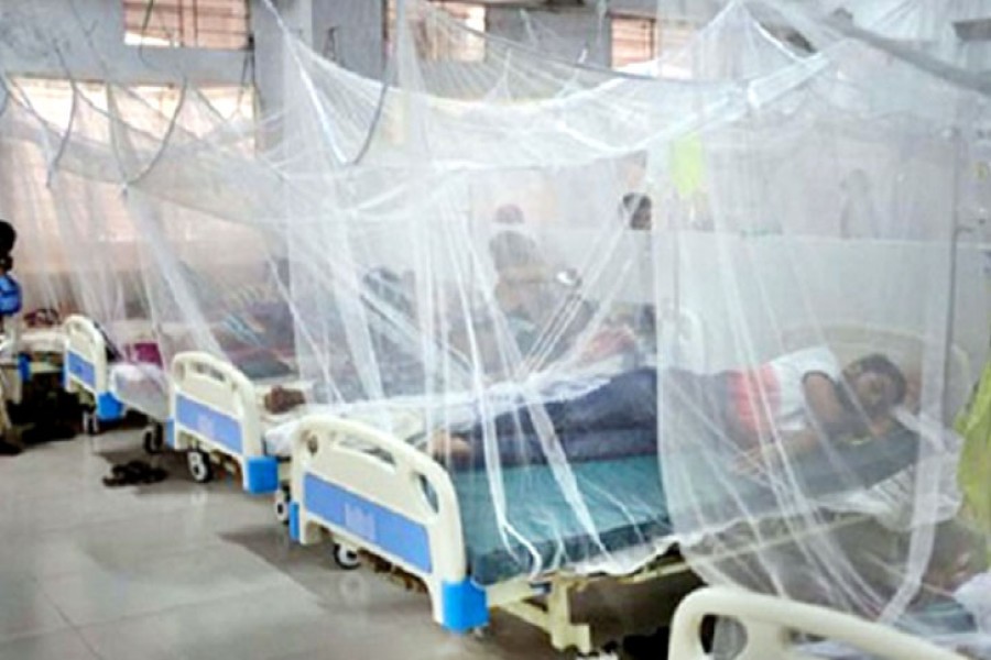 Dengue: 53 more hospitalised in 24 hrs