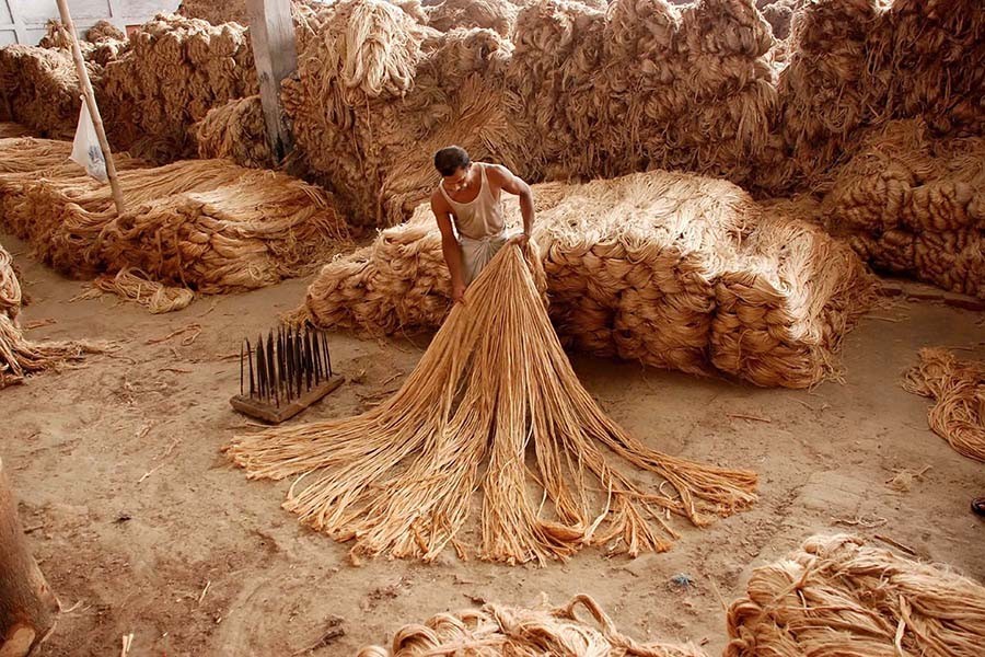 Raw jute exporters seek cash subsidy