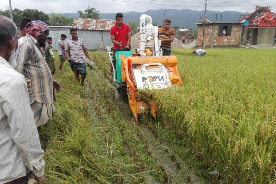 BRRI invents low cost combined harvester