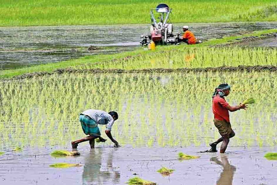 Allocation for agriculture likely to increase to reshape rural economy