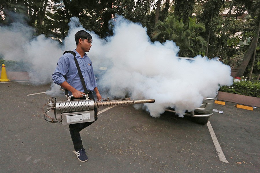 29 more dengue patients hospitalised in 24hrs