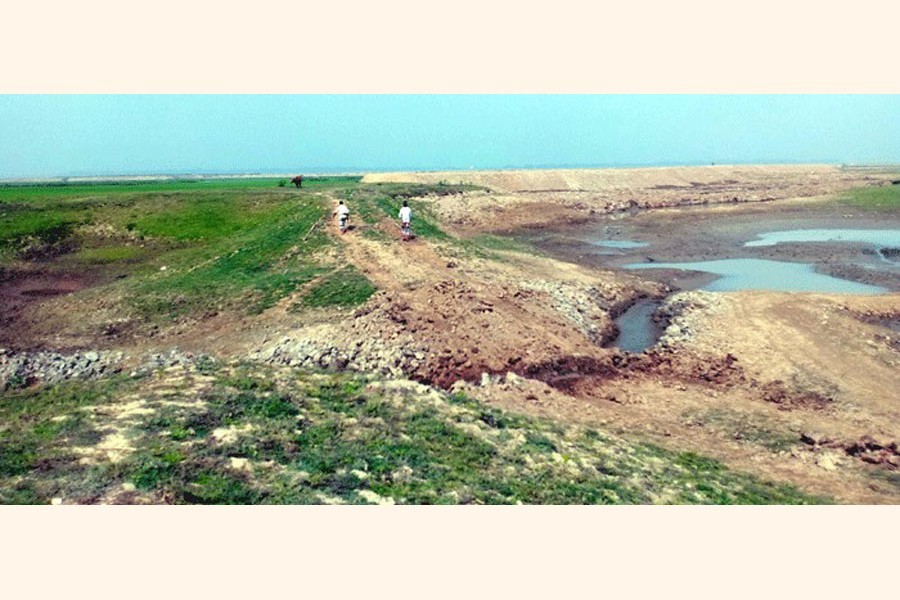 Photo shows a crop protection embankment in Sunamganj — FE Photo