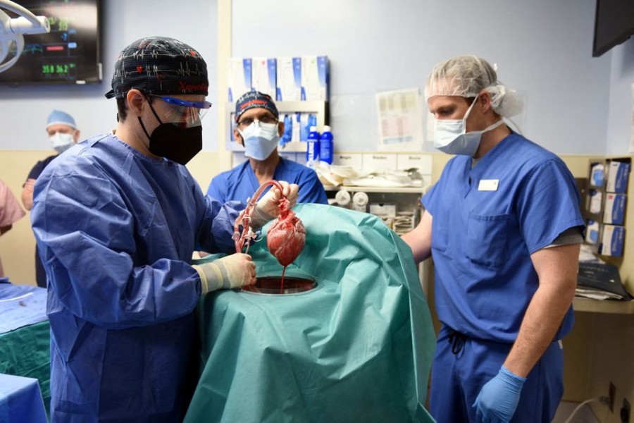 Surgeon Muhammad M Mohiuddin, MD leads a team placing a genetically-modified pig heart into a storage device at the Xenotransplant lab before its transplant on David Bennett, a 57-year-old patient with terminal heart disease, at University of Maryland Medical Center in Baltimore, Maryland, US January 7, 2022 – University of Maryland School of Medicine (UMSOM)/Handout via Reuters