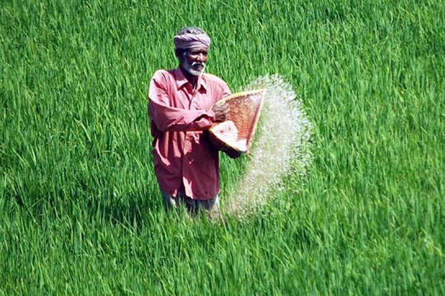 Government expenditure as fertiliser subsidy quadruples in FY22