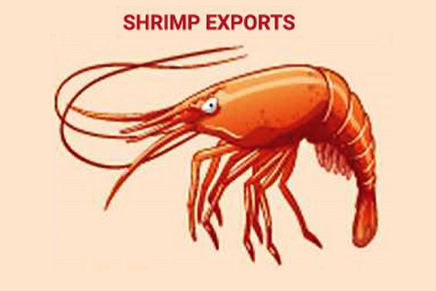 Regaining shrimp as a major export product